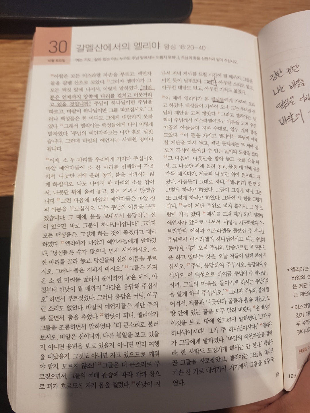 211030 시냇가에 심은 나무