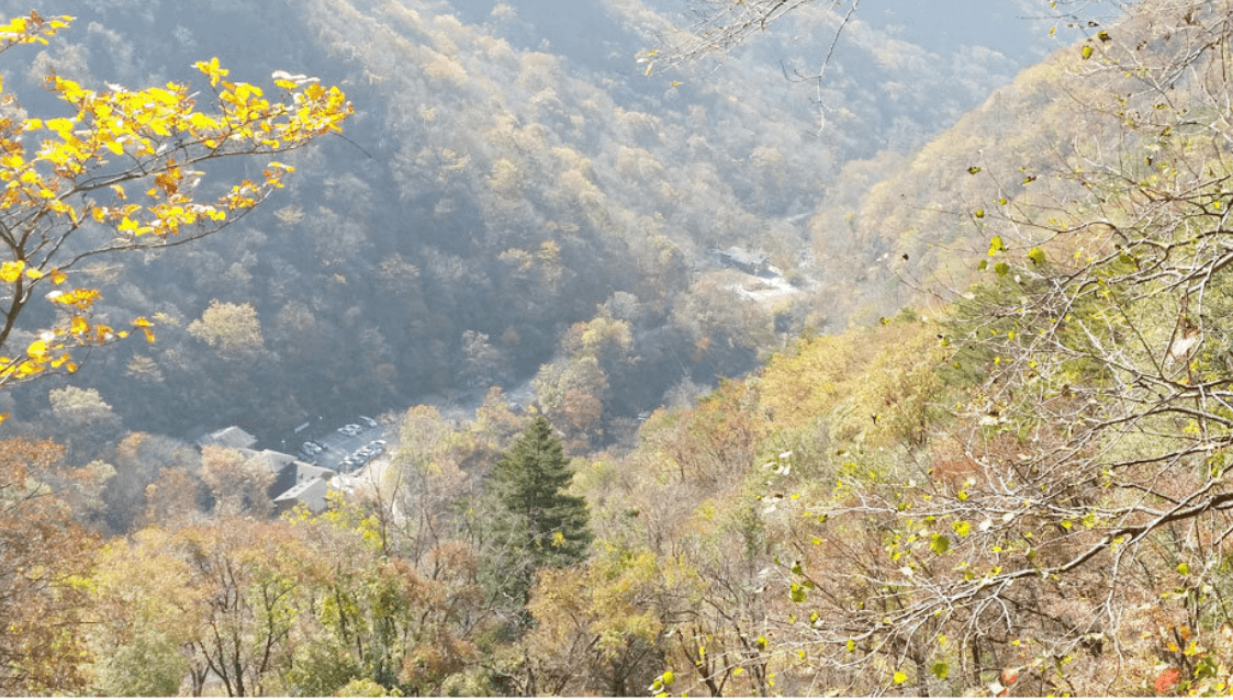 국립 두타산자연휴양림