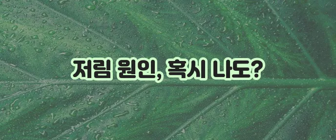 손발 저림 6가지 이유와 자가진단 꼭 확인하세요!