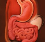 토마토 효능