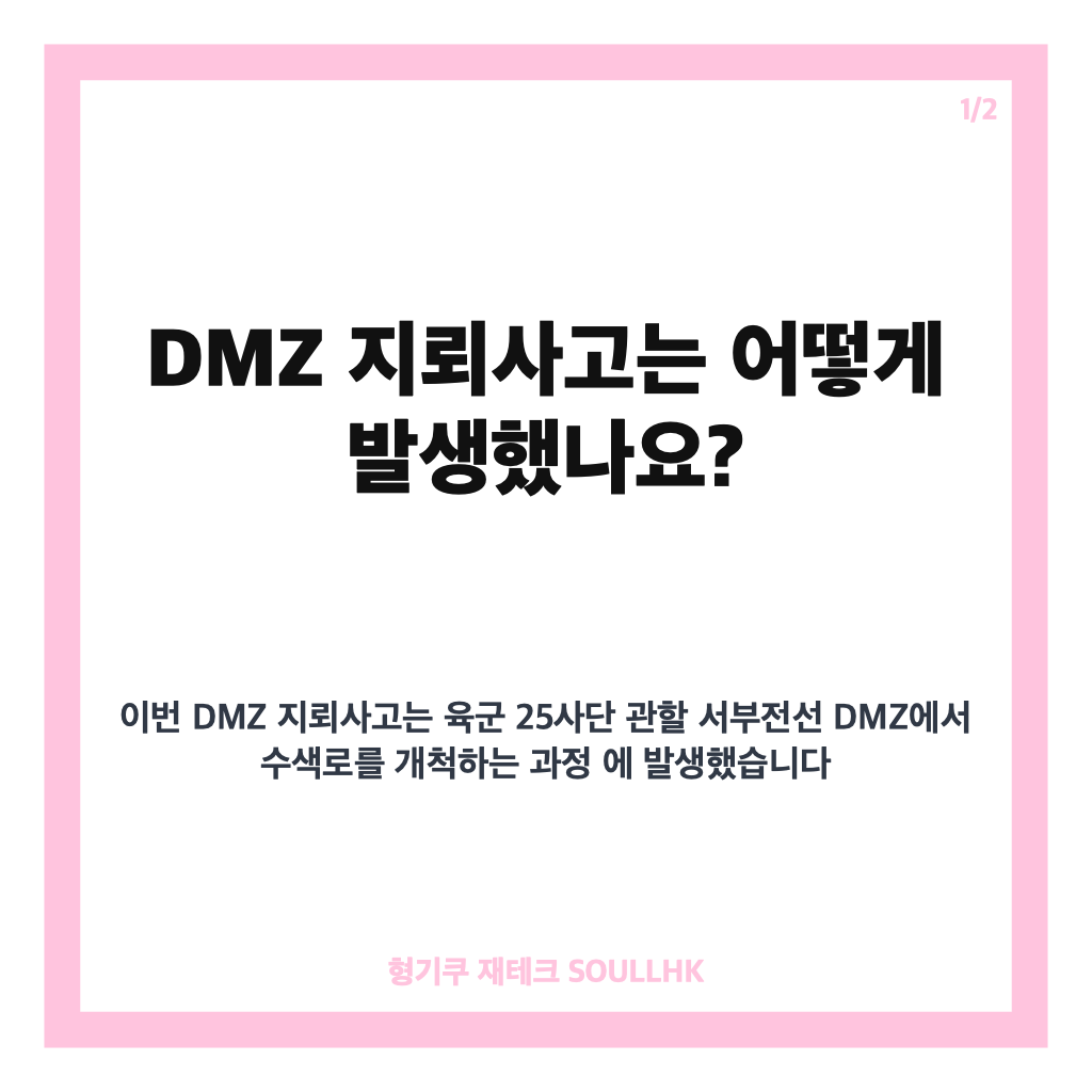 DMZ 지뢰사고 현장조사 진행 상황과 쟁점 정리 카드뉴스 1