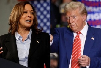 트럼프 해리스 관련주 공약 미국 대선 결과