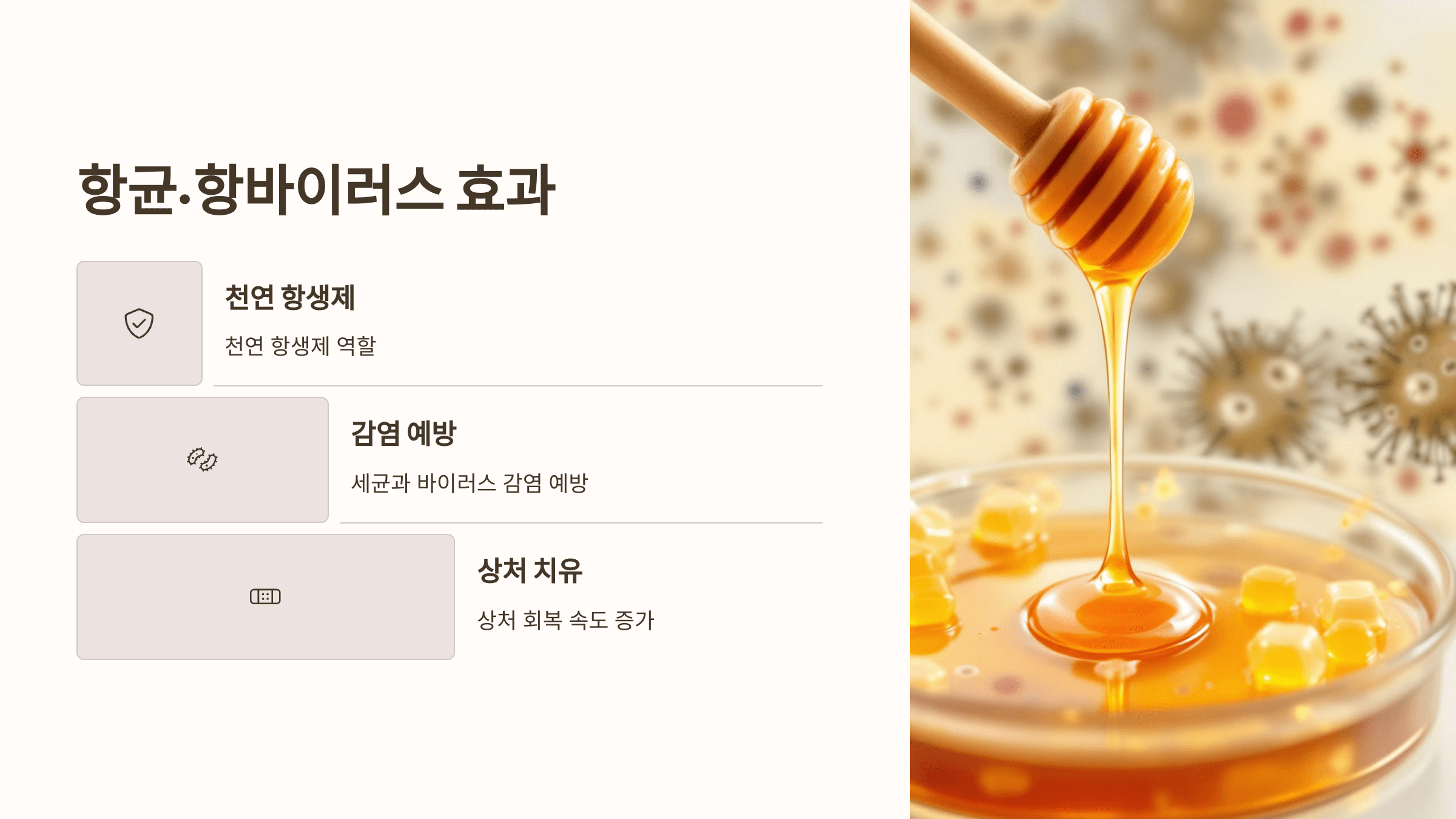 프로폴리스와 관련된 사진입니다.