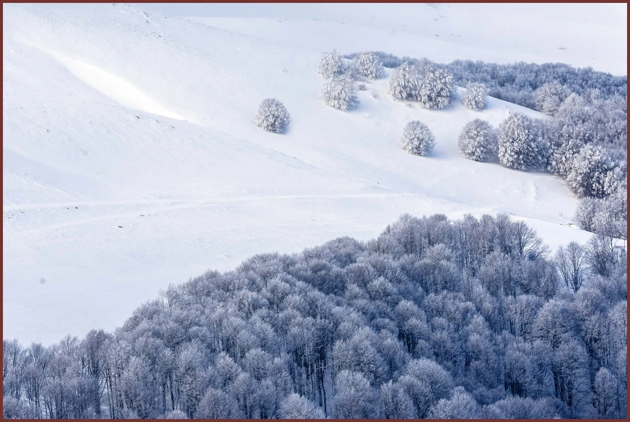 적금 금리 높은곳