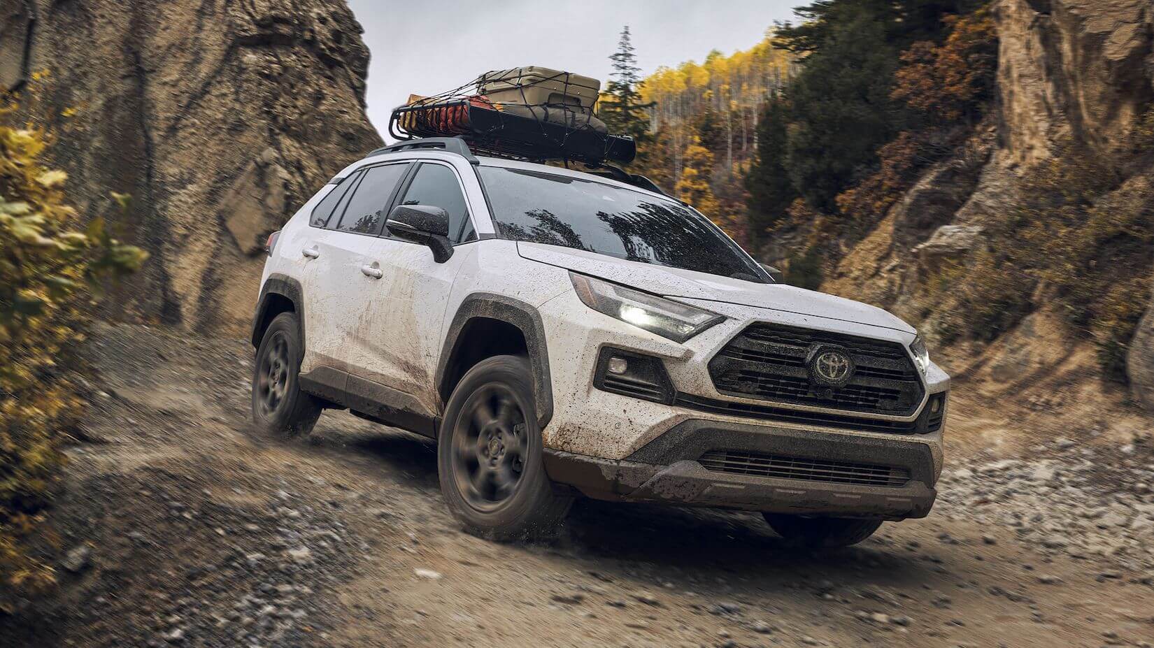 2024 도요타 라브4