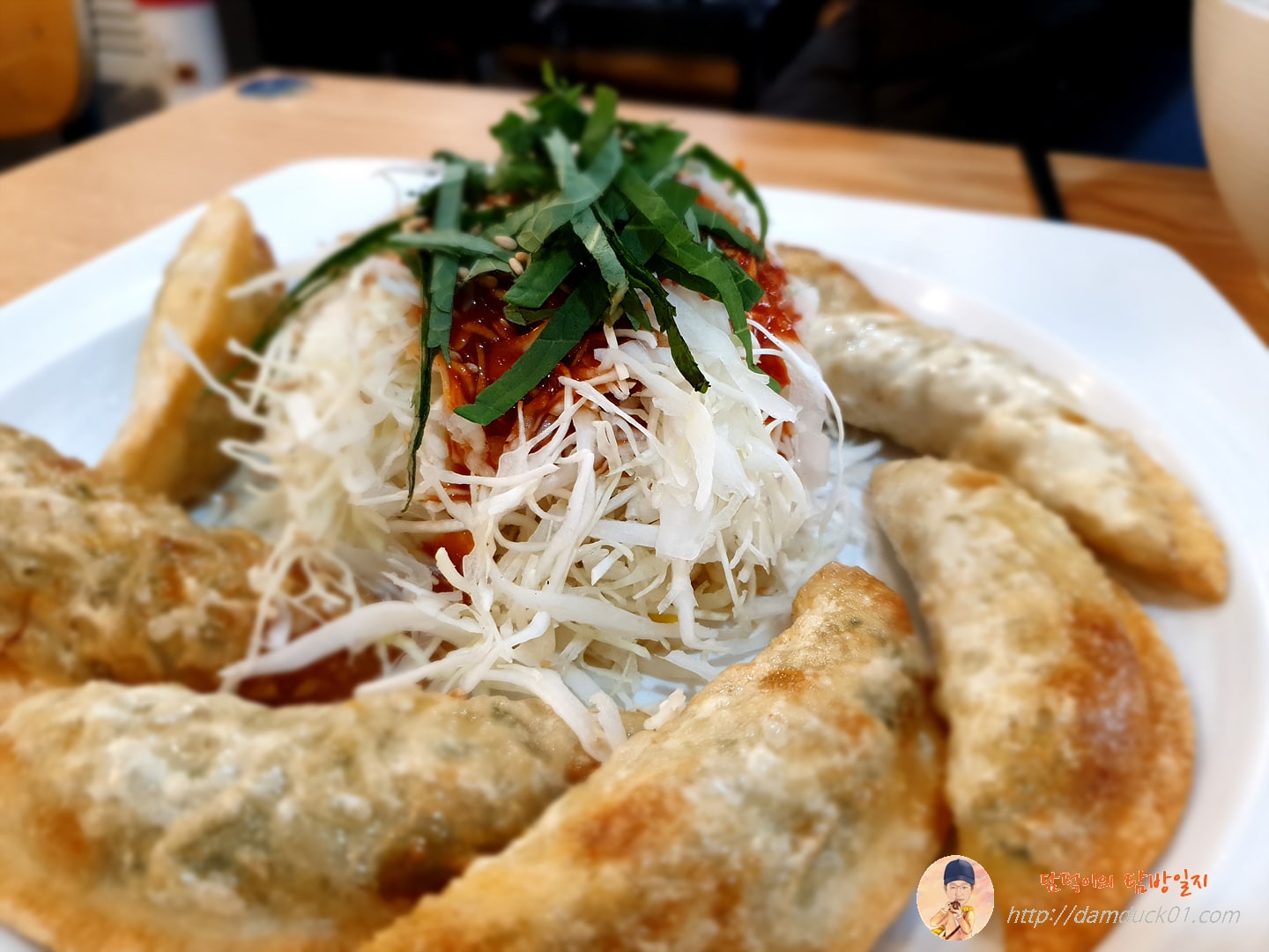 김솔솔김밥-군만두-야채만두-담덕이의탐방일지