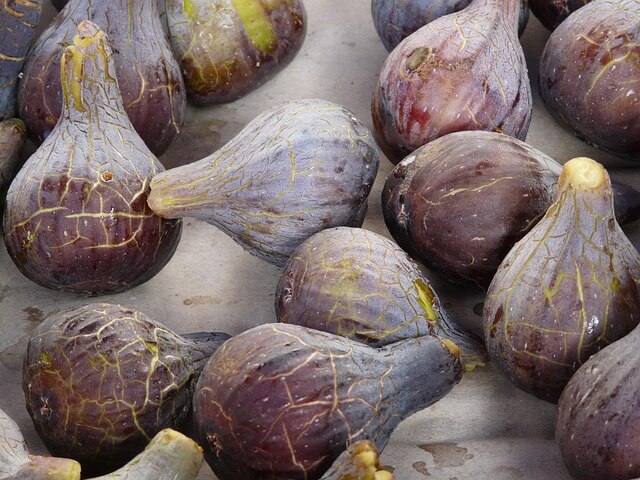 무화과 먹는 방법 수확시기