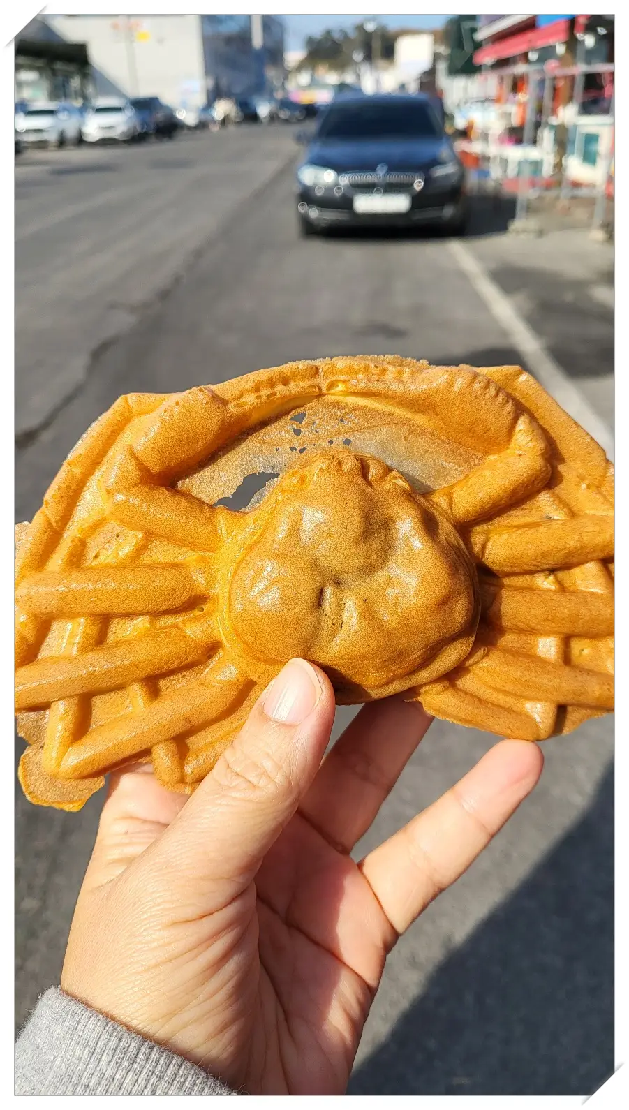 대게빵