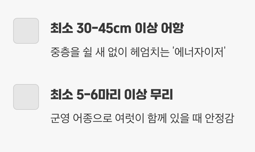 어항 - 활발한 친구들을 위한 '운동장'
