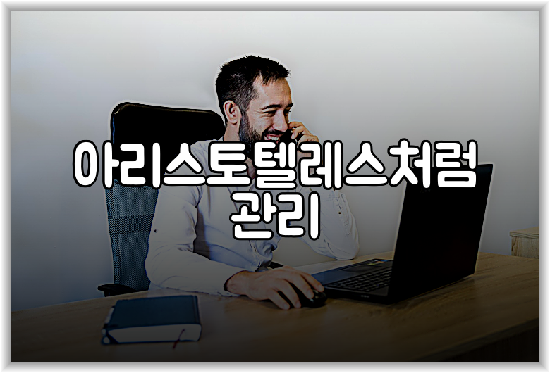 아리스토텔레스처럼 관리
