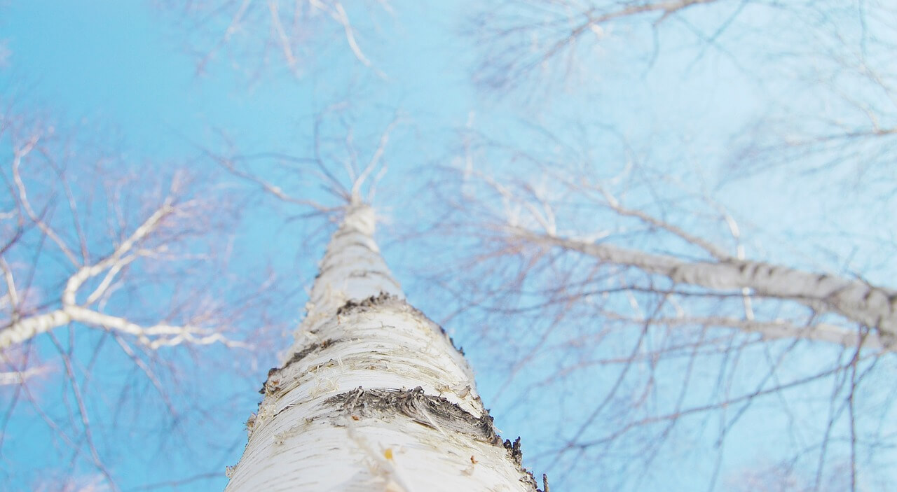 겨울 여행 눈꽃 산행지