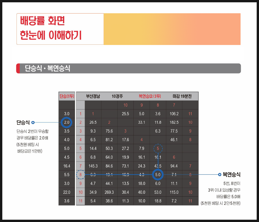 마사일호 경마 배당률 배당판 보는법 삼쌍승 삼복승 복승 쌍승 연승 단승