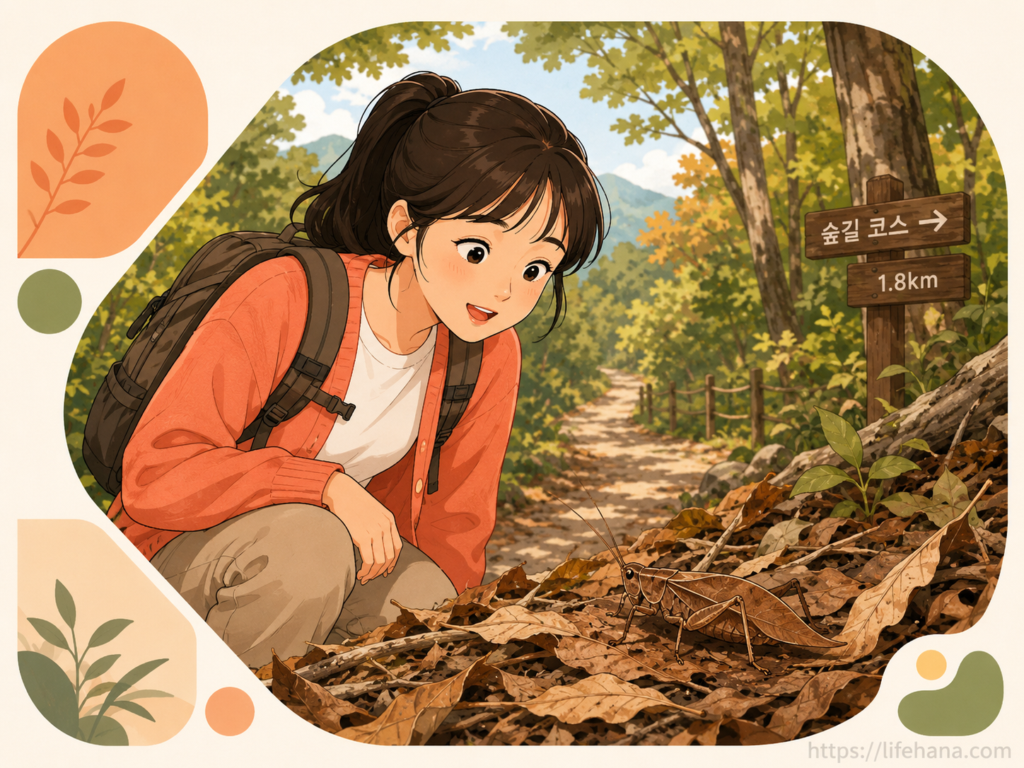 등산로 풀숲 낙엽 사이에 몸을 숨긴 채 긴 더듬이를 흔들고 있는 갈색여치의 실제 발견 모습