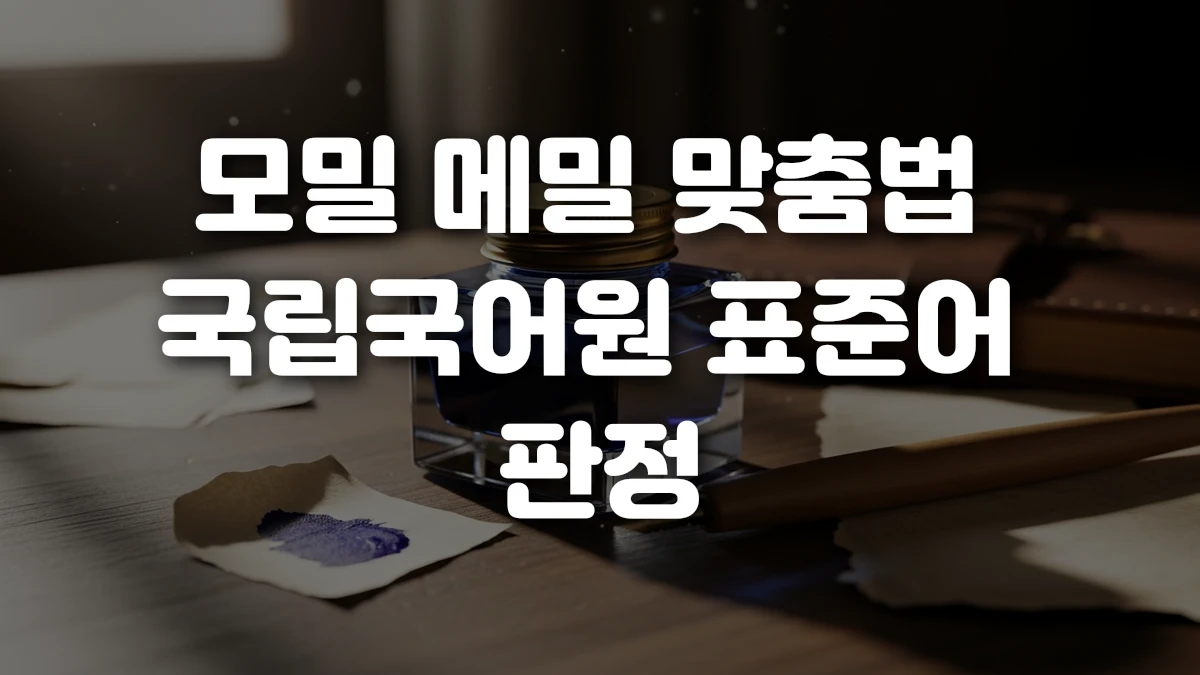 모밀 메밀 맞춤법 국립국어원 표준어 판정