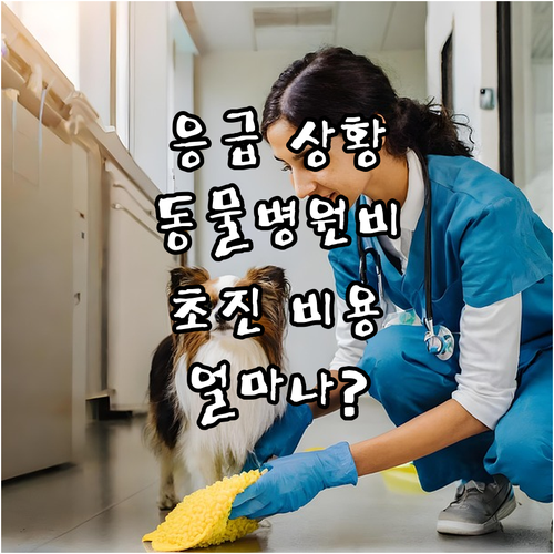 응급 상황 시 동물병원 초진 비용은?