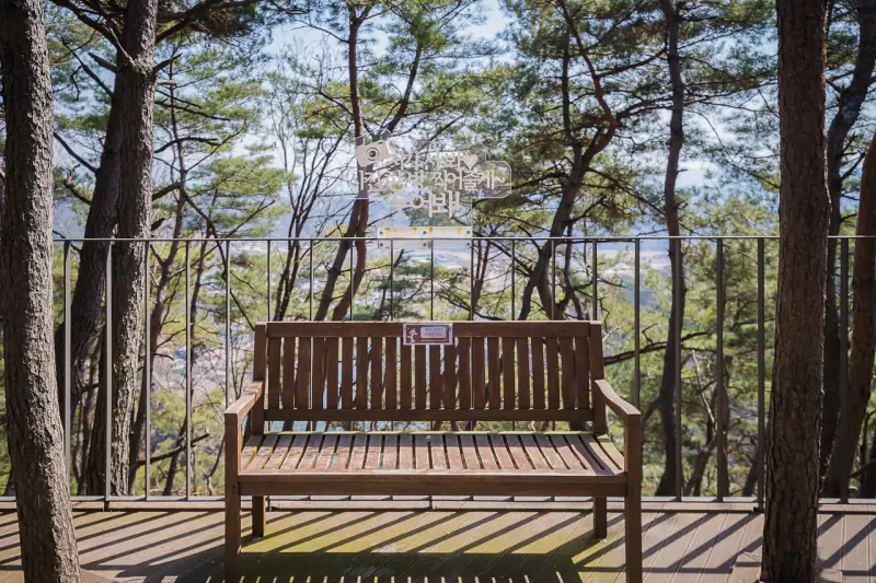 김수현 서예지가 앉았던 벤치