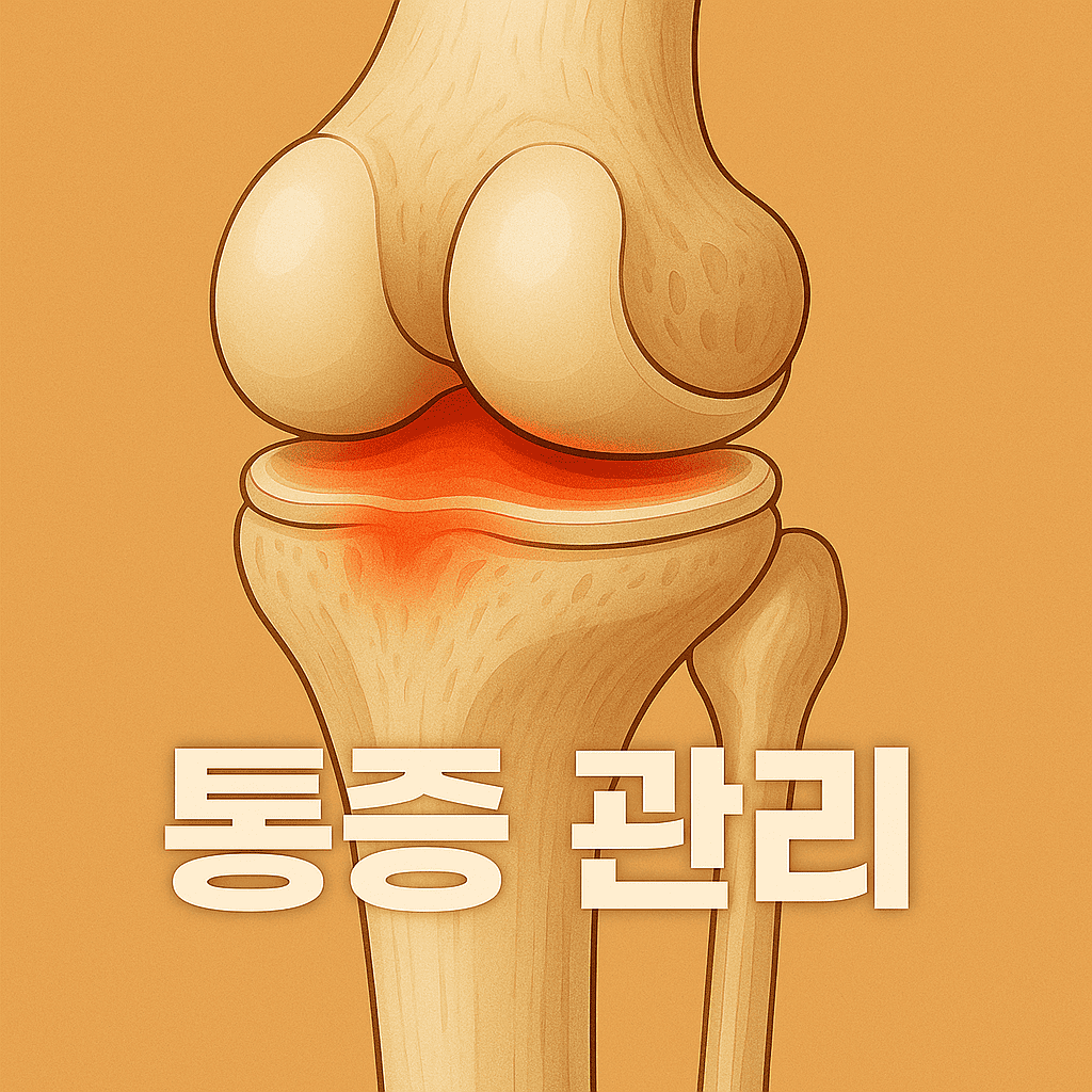 무릎 건강을 위한 실천 전략