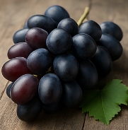 포도 종류
