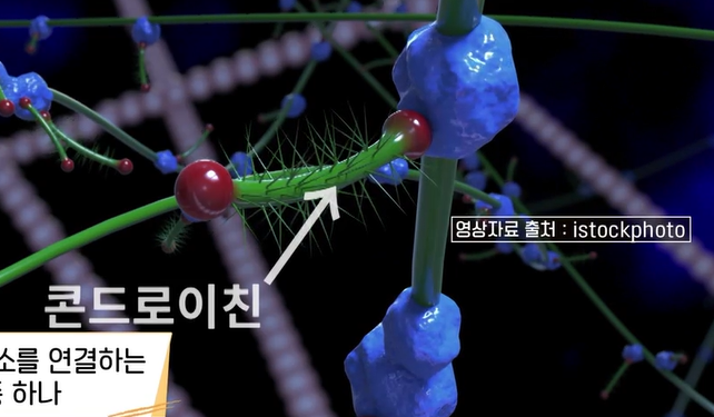 콘드로이친