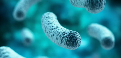 프로바이오틱스 이미지사진