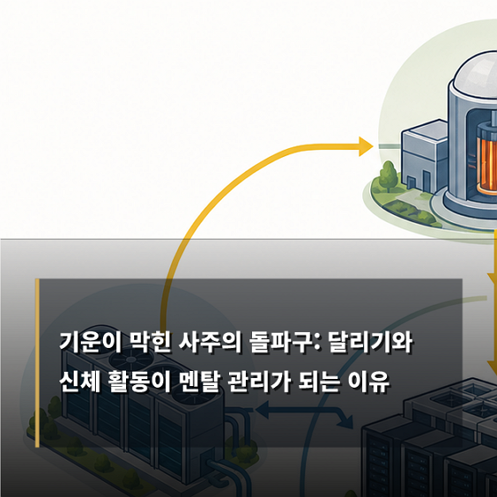 식상 용신 사주 스트레스 사주 운동