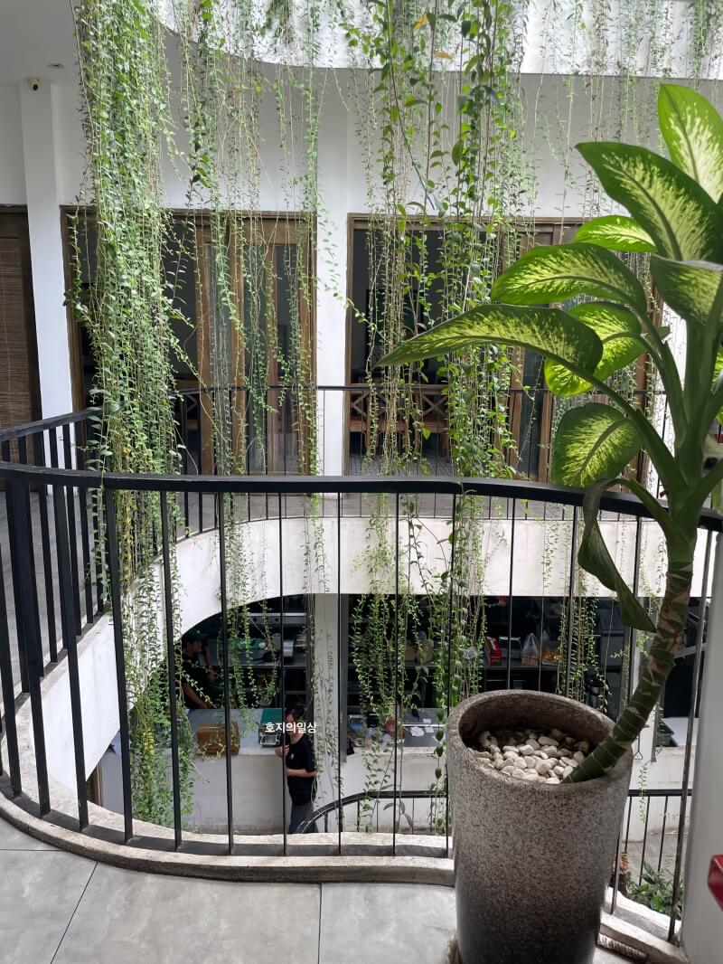 나트랑 시내 맛집 리빈콜렉티브 LIVIN - 2층