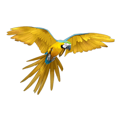 가평 베고니아새정원