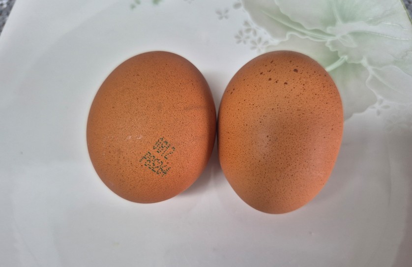삶은 달걀