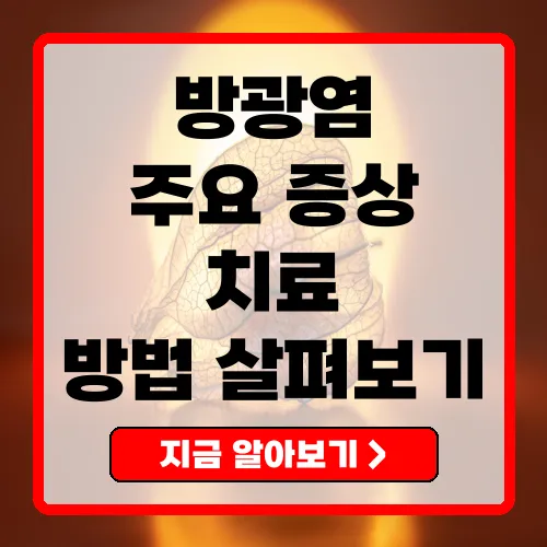 방광염 증상 주요 증상과 효과적인 치료법 총정리