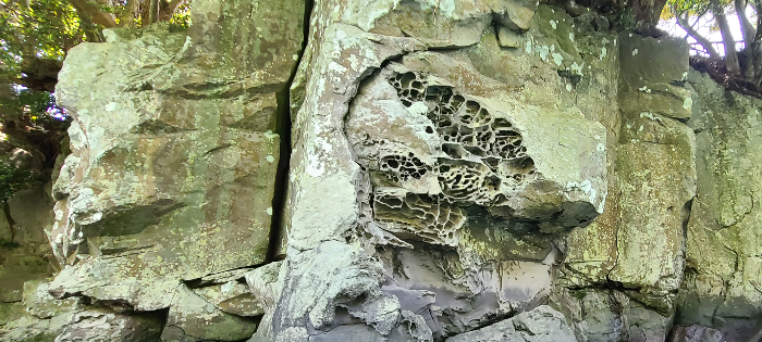 제주도여행 쇠소깍 카약타기 제주도레저 제주도 즐길거리 카약타러가는길 쇠소깍의미 쇠소깍전설 쇠소깍선착장 쇠소깍시작지점 쇠소깍풍경감상