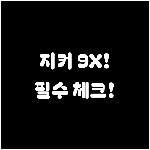 지커 9X 공식 출시 전 알아야 할 ..