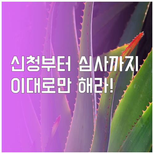 청년도약계좌 은행 앱 신청 절차와 서..
