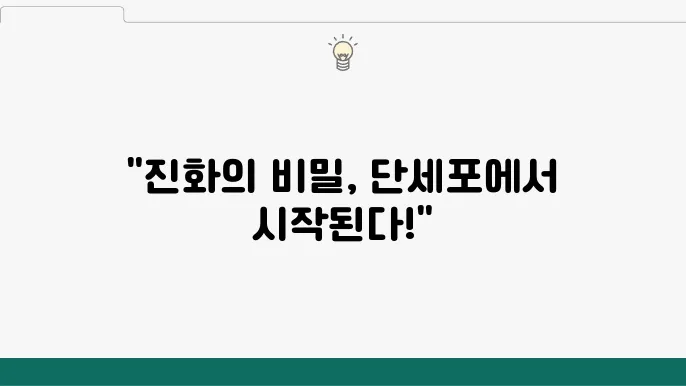 다세포 생물의 지속적 진화