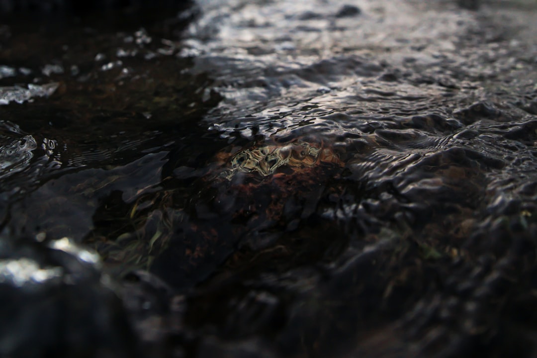 Waste oil