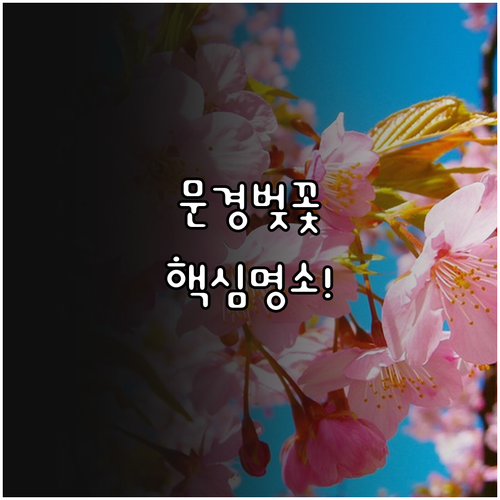 2026 문경 벚꽃 축제 즐기기 명소..