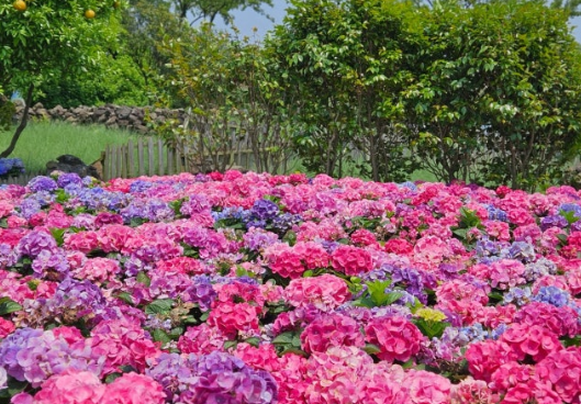 5월 봅 여행지 추천