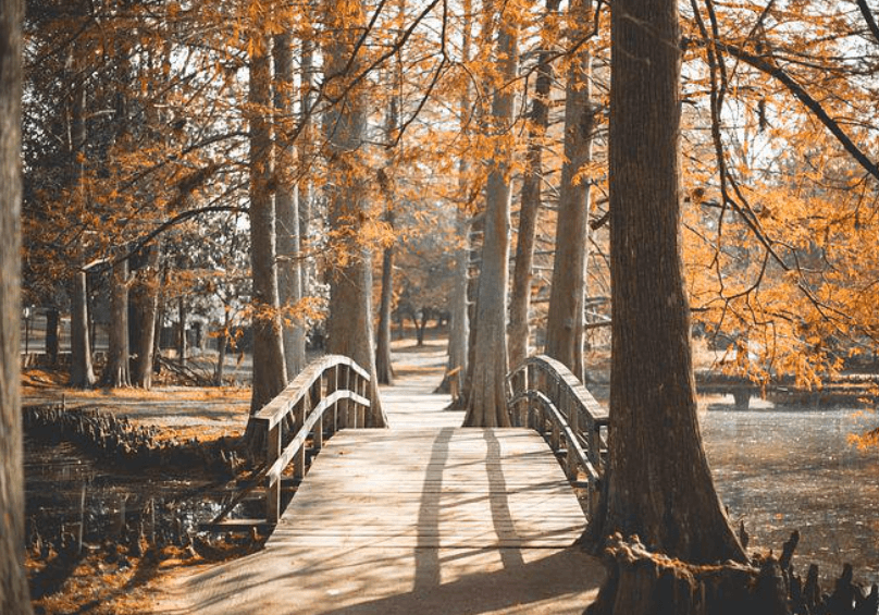 다리 건너는 꿈
다리 끊어지는 꿈