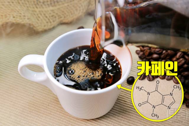 혈당 오르는 이유 혈당상승 혈당변동 저혈당 고혈당 원인 블랙커피 카페인
