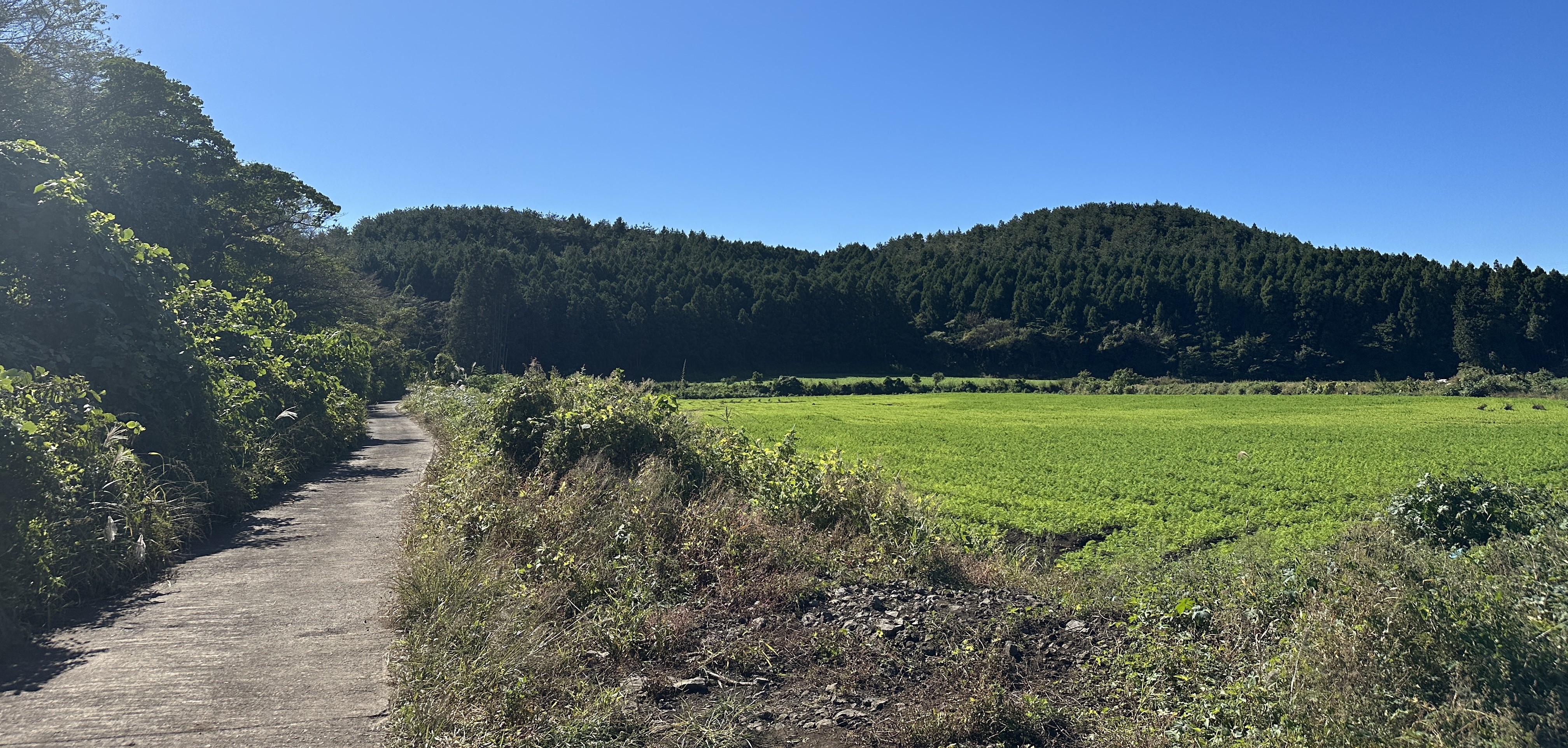 동검은이오름 가는길