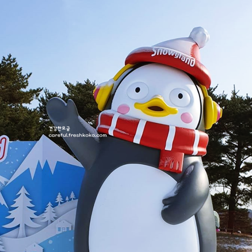 홍천 가볼만한곳