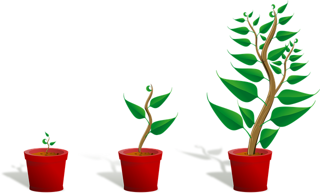 국민성장펀드란? 수익률·세제혜택·위험까지 한 번에 정리