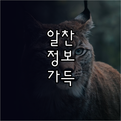 직장인 도시락으로 건강, 경제, 시간..