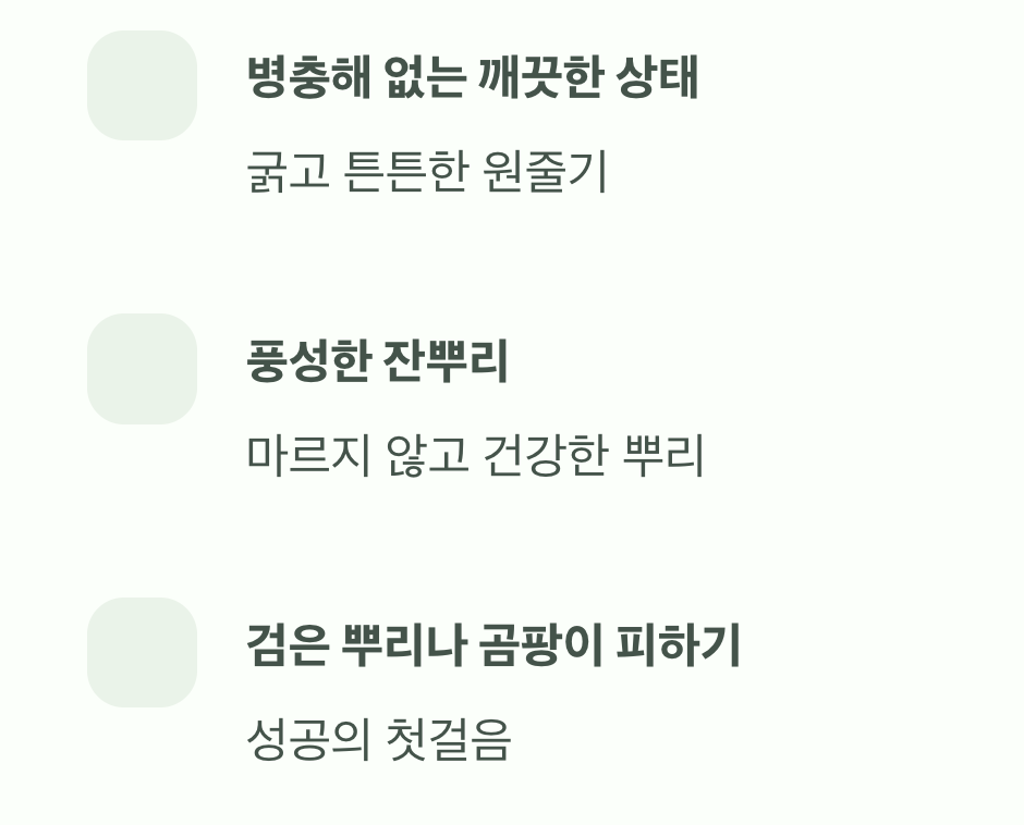 실패 없는 시작, 건강한 묘목 고르기