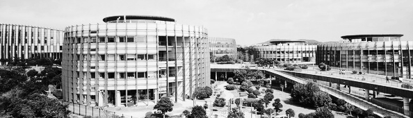 사립초등학교, 국제학교 완벽 분석