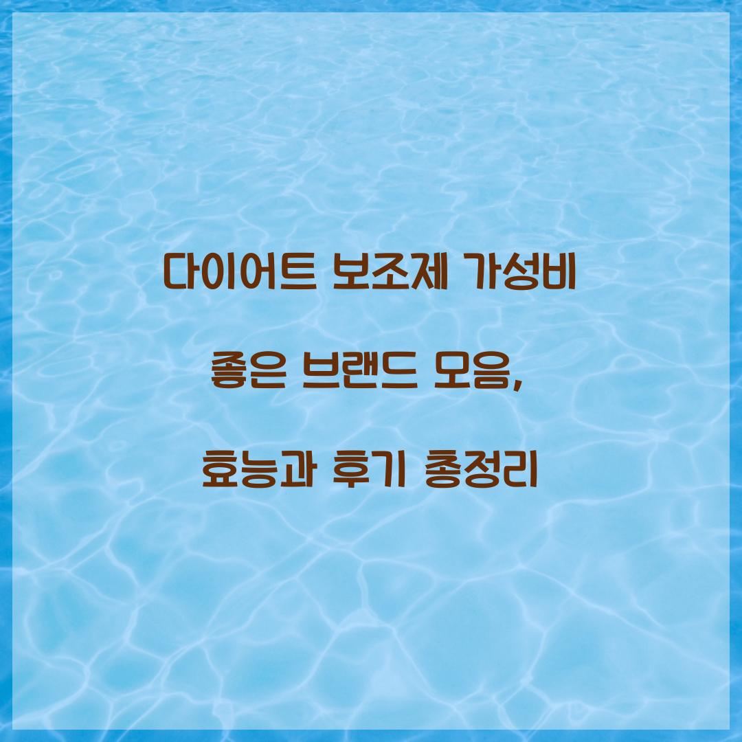다이어트 보조제 가성비 좋은 브랜드 모음