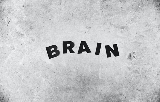 뉴로마케팅(Neuromarketing) 전략 2: 윤리적 고려 사항 및 적용 사례