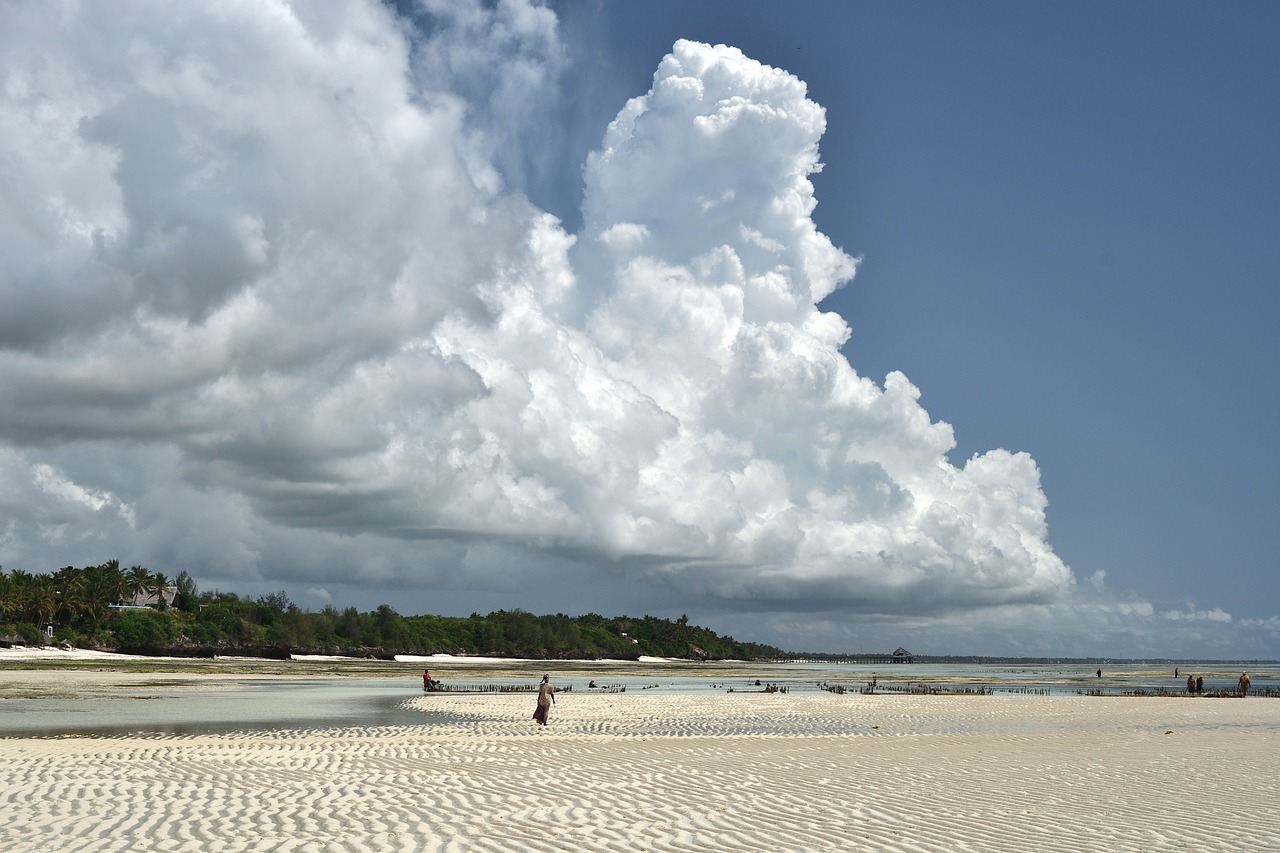 다이어트에 좋은 제주 먹거리 사진