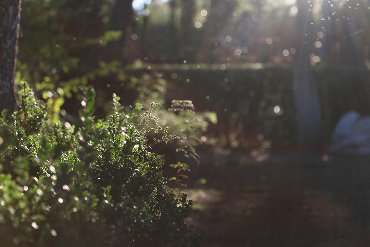 국민취업지원제도신청