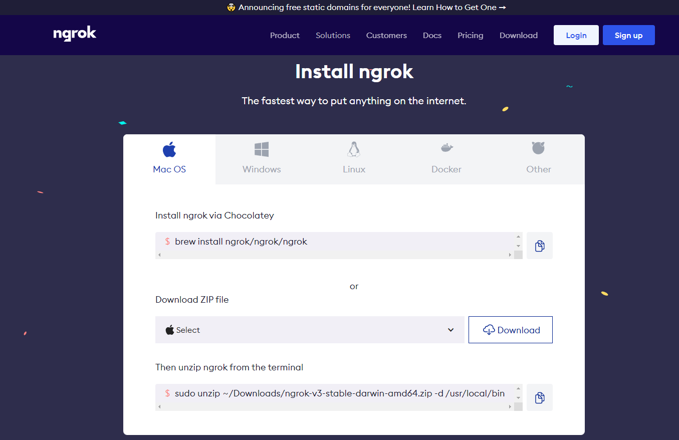 ngrok사진