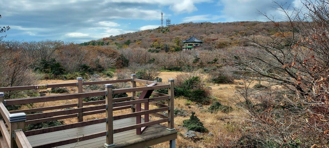 람사르습지내-휴게소-전망